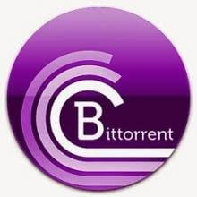 BitTorrent Pro download