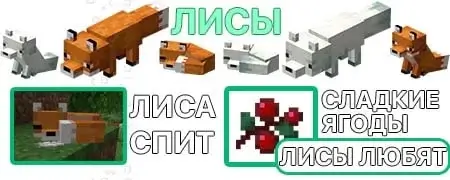 Minecraft 1.13